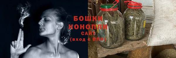 прущие крисы Бородино