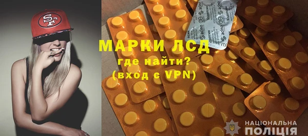 прущие крисы Бородино