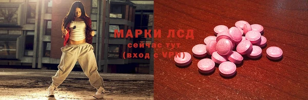 прущие крисы Бородино