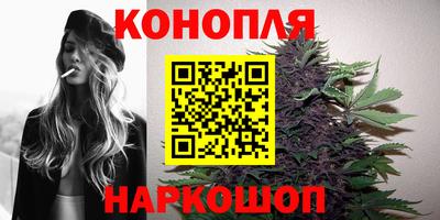 прущие грибы Балаково