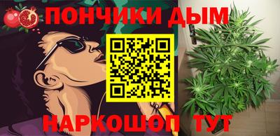 прущие грибы Балаково