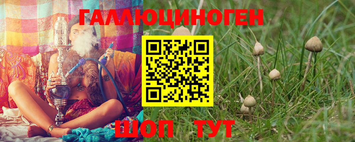 Галлюциногенные грибы Cubensis  Воскресенск 