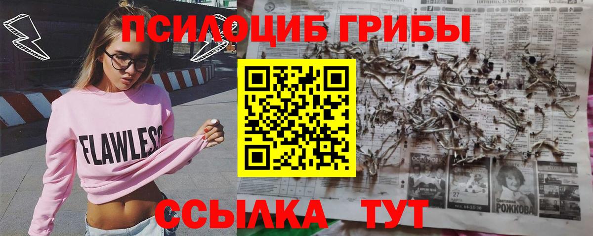 Галлюциногенные грибы мухоморы Воскресенск