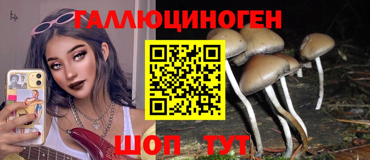 Галлюциногенные грибы Magic Shrooms  сколько стоит  Воскресенск  Галлюциногенные грибы прущие грибы  Вход с VPN 